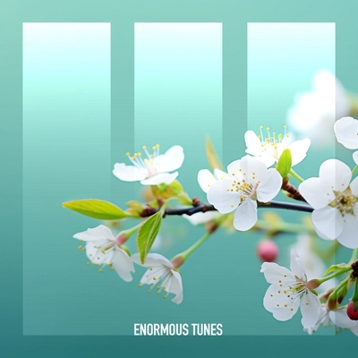 کاور آهنگ Distance - Extended Mix از Amonita