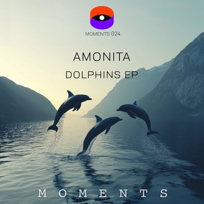 کاور آهنگ Dolphins از Amonita