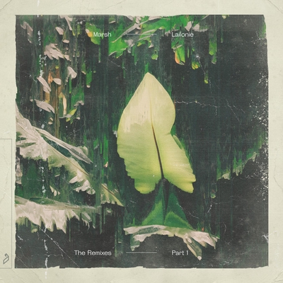 کاور آهنگ Don't Wait - Frost Remix از Simon Doty, Amonita, Frost, Marsh, Phenoir, Mariel Beausejour