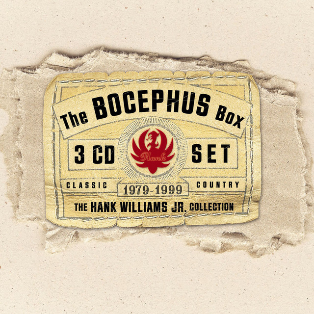کاور آهنگ All My Rowdy Friends Are Coming Over Tonight از Hank Williams, Jr.