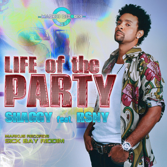 کاور آهنگ Life of the Party از Shaggy