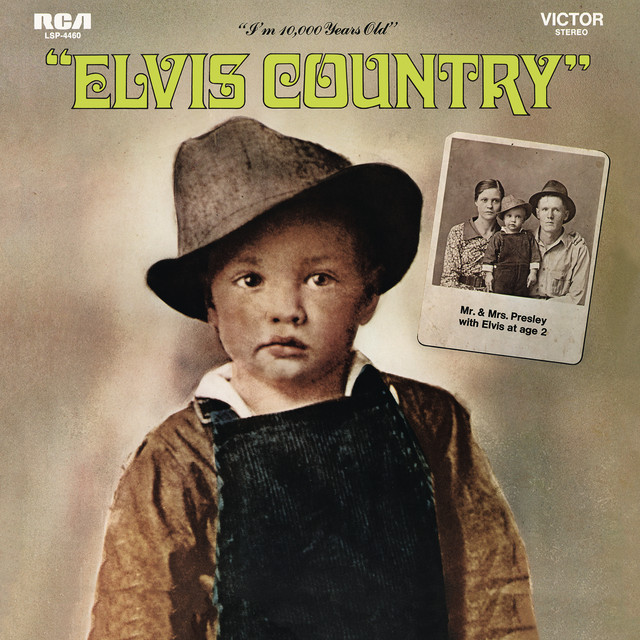 کاور آهنگ The Fool از Elvis Presley