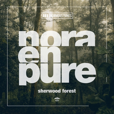 کاور آهنگ Sherwood Forest از Nora En Pure
