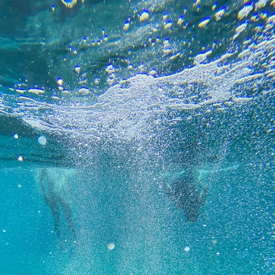 کاور آهنگ Tides از Catching Flies