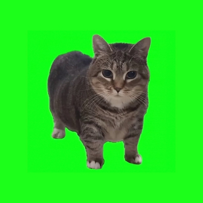 کاور آهنگ OIIA OIIA (Spinning Cat) - Extended Mix از W&W