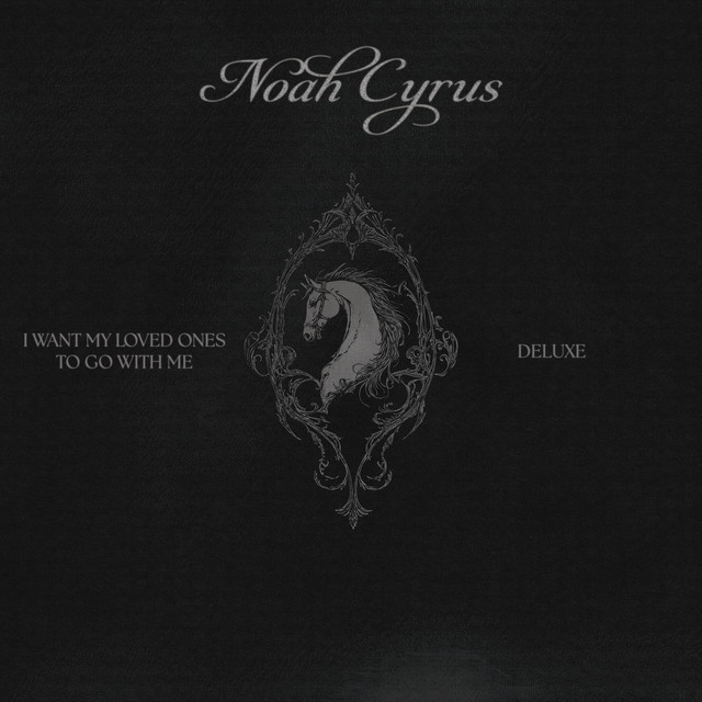کاور آهنگ Man In The Field از Noah Cyrus