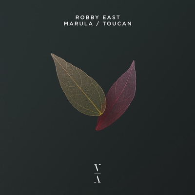 کاور آهنگ Toucan از A.M.R, Robby East