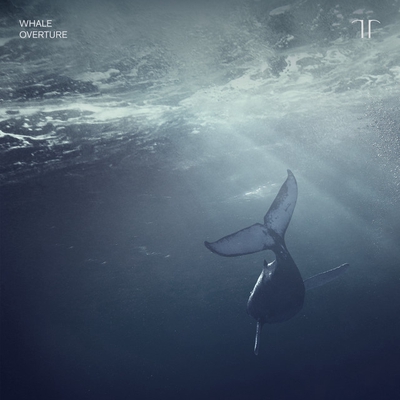 کاور آهنگ Whale Overture از Gabriel Olafs