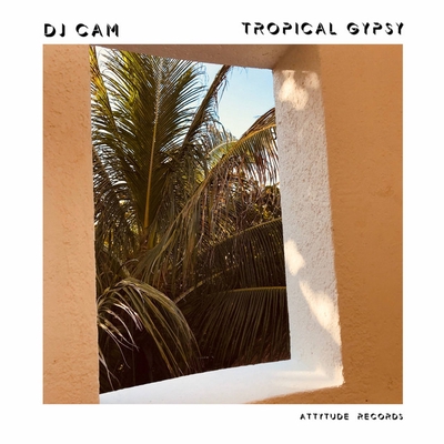 کاور آهنگ Late Night F#%k از DJ Cam