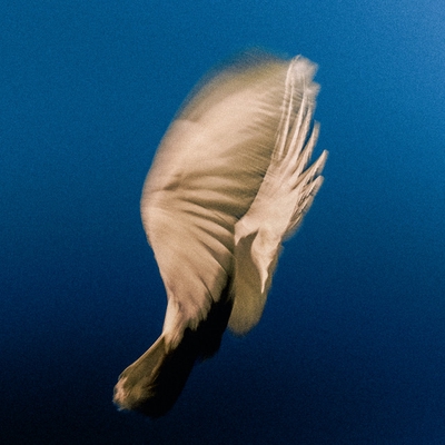 کاور آهنگ Run Away از SWIM