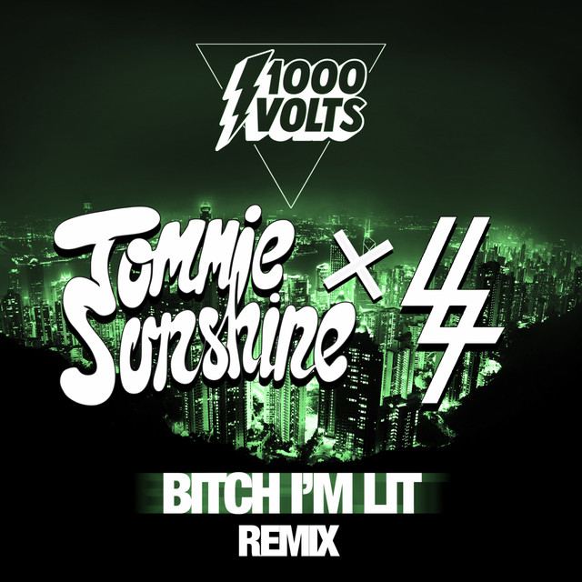 کاور آهنگ B!%ch I'm Lit - Tommie Sunshine & SLATIN Remix از Redman, Tommie Sunshine, SLATIN