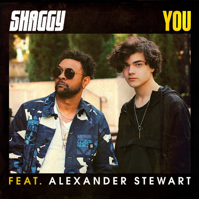 کاور آهنگ You - Dave Audé Extended از Shaggy, Dave Audé