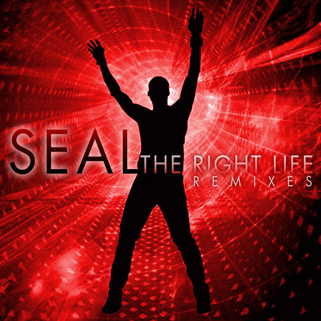 کاور آهنگ The Right Life - MacTong Wonderland Dub از Pete Tong, Seal, Steve Mac