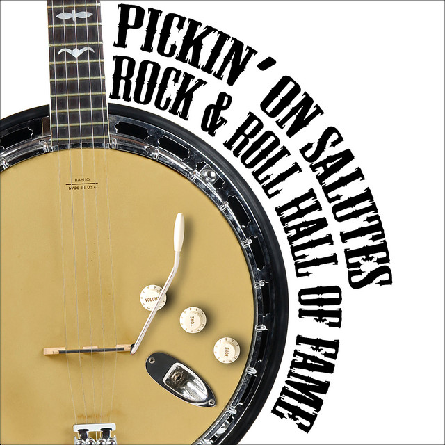 کاور آهنگ Fortunate Son از Pickin' On Series