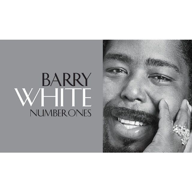 کاور آهنگ Never, Never Gonna Give Ya Up از Barry White