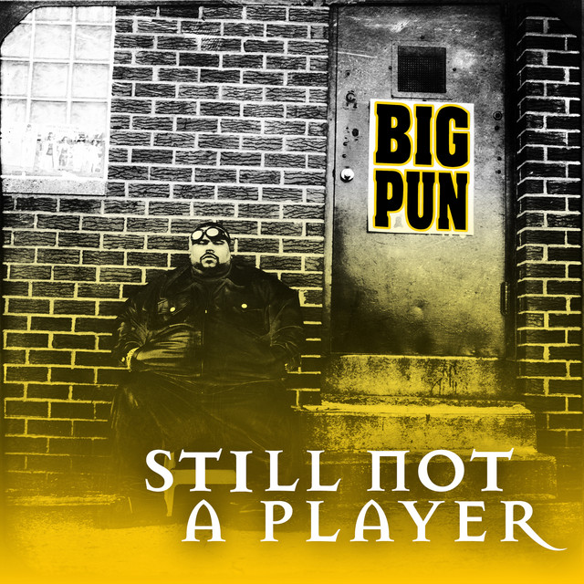 کاور آهنگ Still Not a Player (Remix) - Radio Version از Big Pun