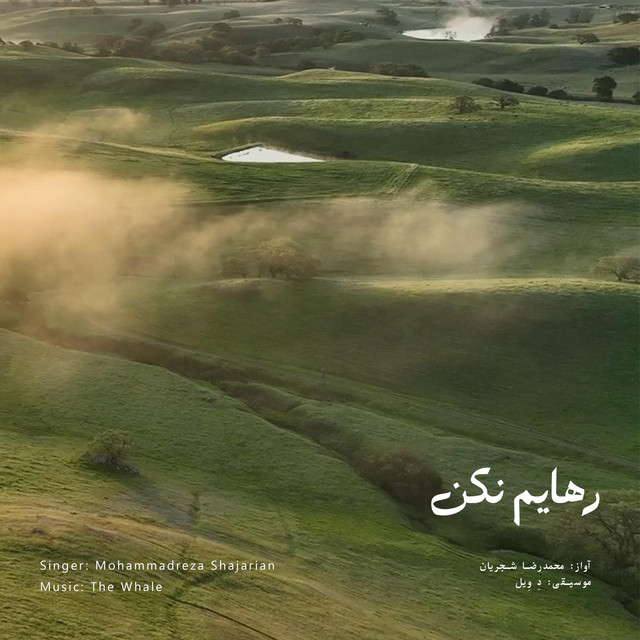 کاور آهنگ رهایم کن - بازسازی اثر محمدرضا شجریان از دِ وِیل