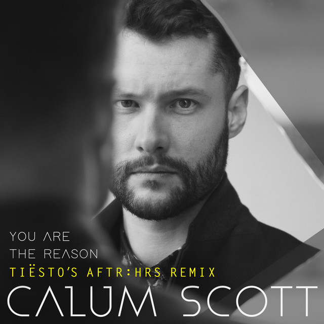 کاور آهنگ You Are The Reason - Tiesto's AFTR:HRS Remix از Tiësto, Calum Scott