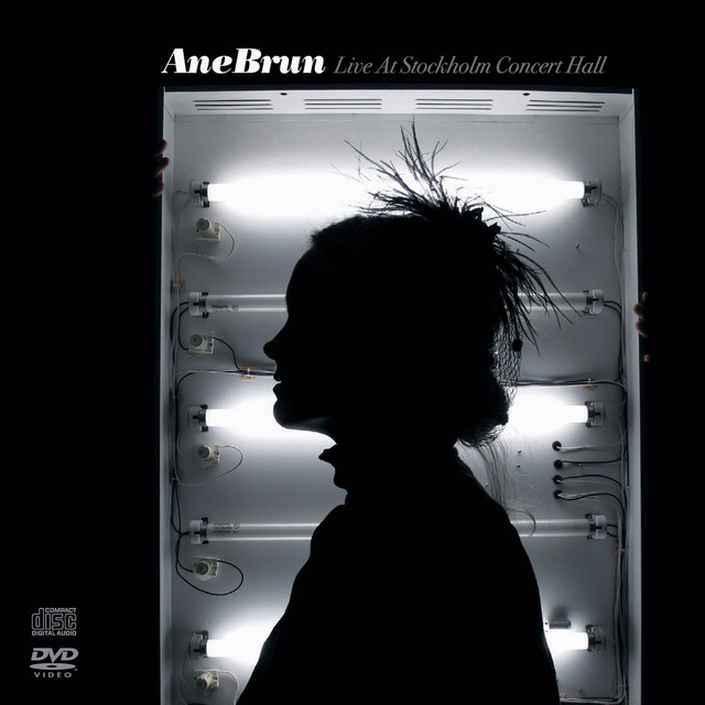 کاور آهنگ My Lover Will Go - Live از Ane Brun