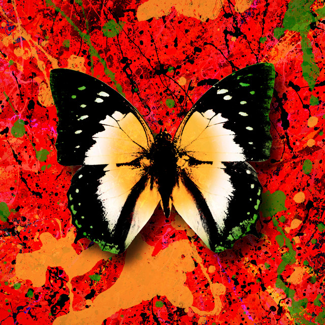 کاور آهنگ 2step (feat. Lil Baby) از Ed Sheeran, Lil Baby