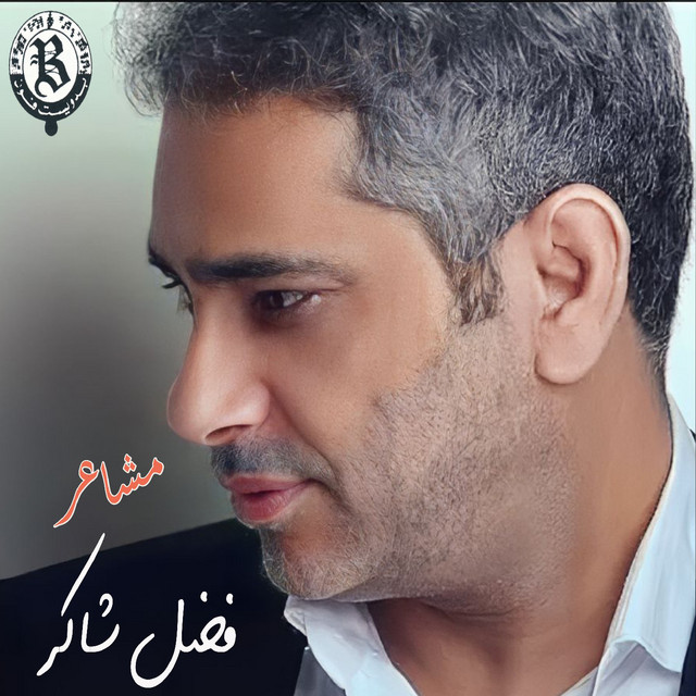 کاور آهنگ Habibi Wala 3ala Balou از Fadel Chaker