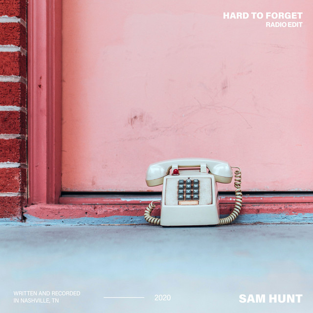 کاور آهنگ Hard To Forget - Radio Edit از Sam Hunt