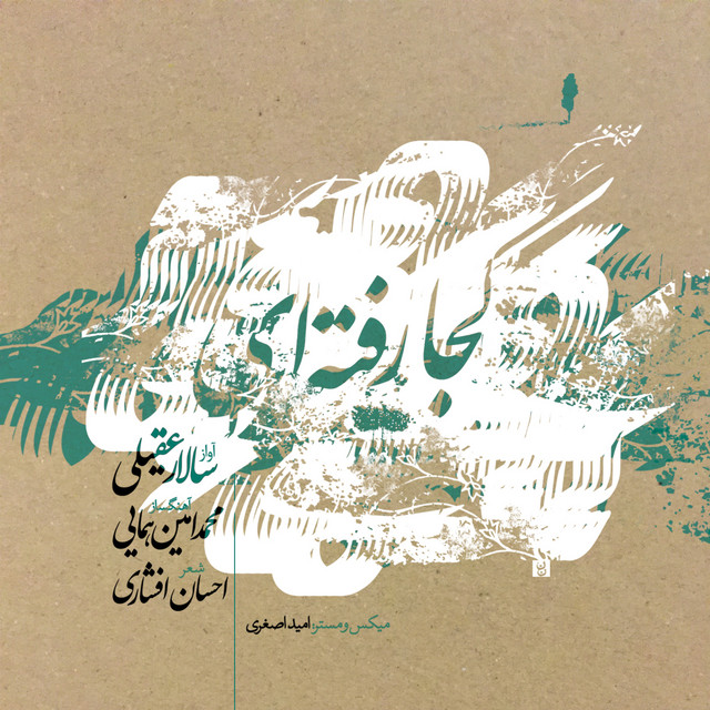 کاور آهنگ تماشا کن از امین همایی, سالار عقیلی
