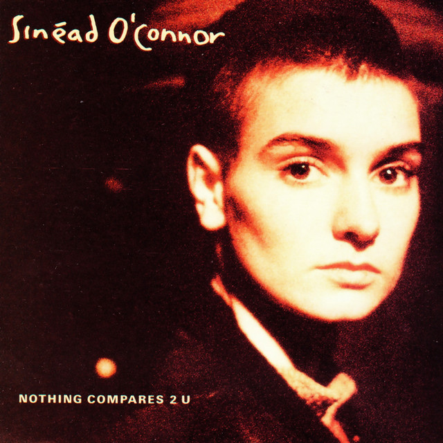 کاور آهنگ Jump in the River - Instrumental از Sinead O'Connor