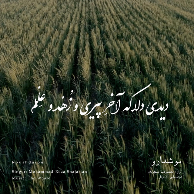 کاور آهنگ نوش دارو - بازآفرینی اثر محمدرضا شجریان از دِ وِیل