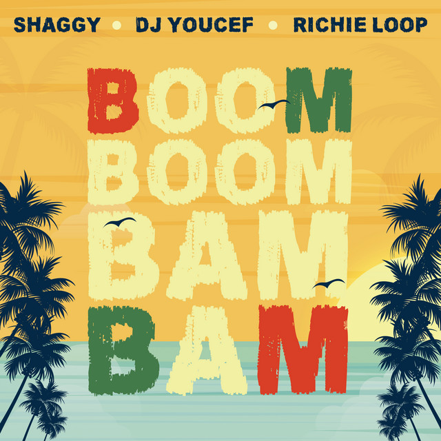 کاور آهنگ Boom Boom Bam Bam از Shaggy, Dj Youcef