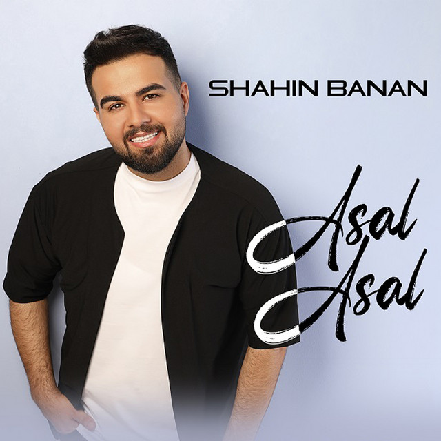 کاور آهنگ عسل عسل از شاهین بنان