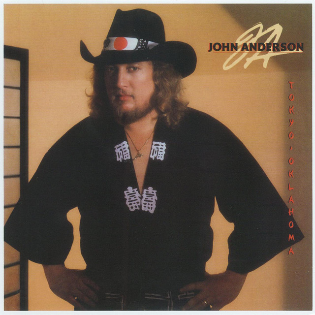 کاور آهنگ Till I Get Used to the Pain از John Anderson