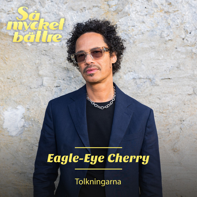 کاور آهنگ Believe از Eagle-Eye Cherry