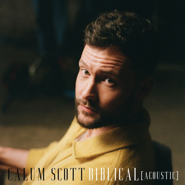 کاور آهنگ Biblical - Acoustic از Calum Scott