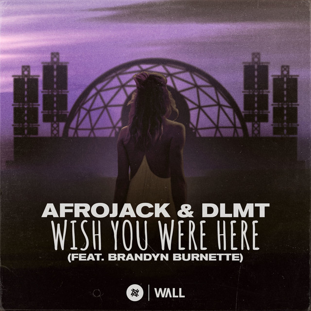 کاور آهنگ Wish You Were Here (feat. Brandyn Burnette) از AFROJACK
