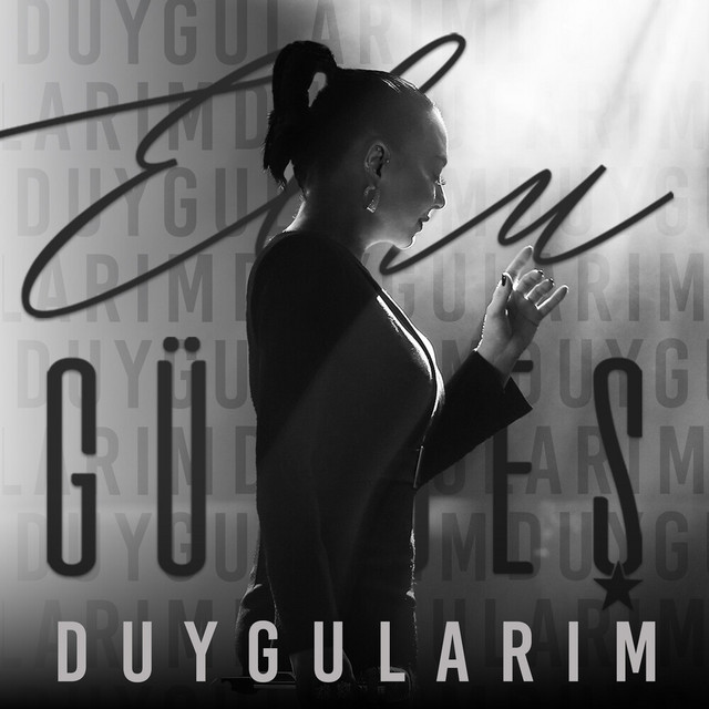 کاور آهنگ Duygularim از Ebru Gundes