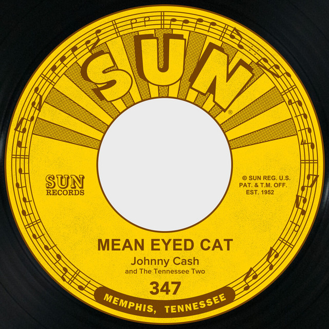 کاور آهنگ Mean Eyed Cat از Johnny Cash