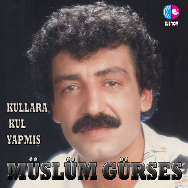 کاور آهنگ Bir Kadeh Daha Ver از Muslum Gurses