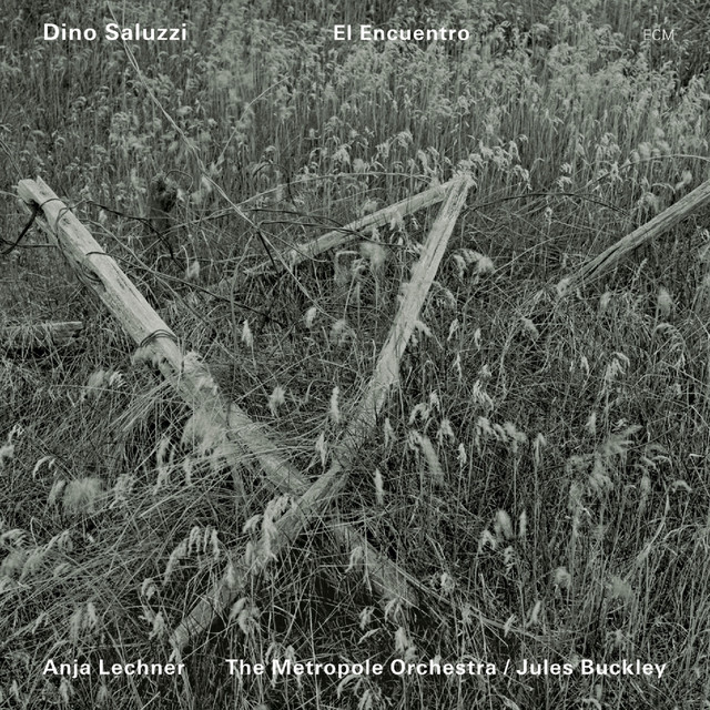 کاور آهنگ Plegaria Andina - Live از Jules Buckley, Dino Saluzzi, Anja Lechner