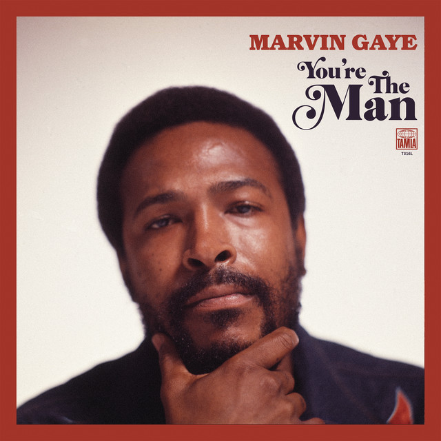 کاور آهنگ Symphony - SalaAM ReMi LP Mix از Marvin Gaye