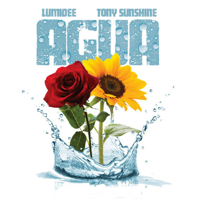 کاور آهنگ Agua از Lumidee