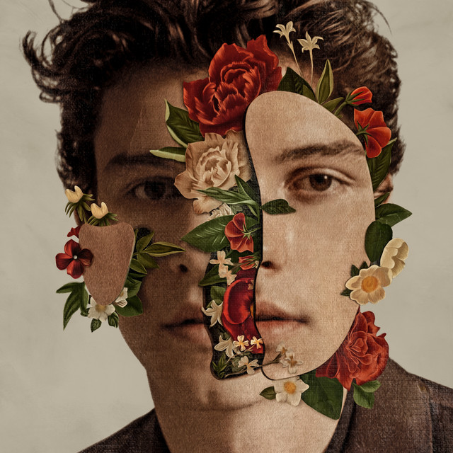 کاور آهنگ Why از Shawn Mendes