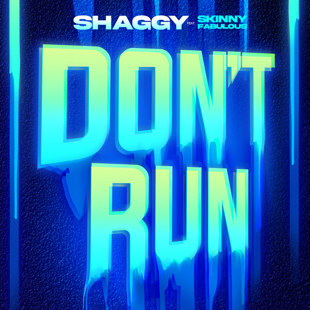 کاور آهنگ Don't Run (feat. Skinny Fabulous) از Shaggy
