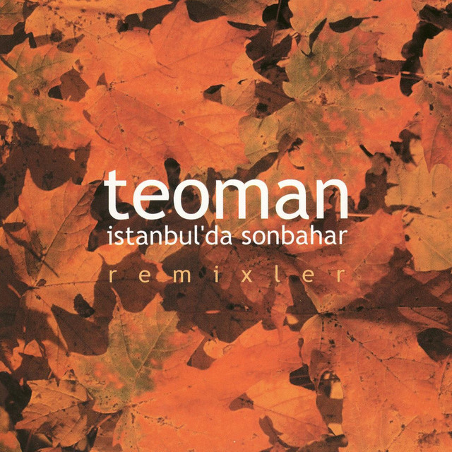 کاور آهنگ İstanbul'da Sonbahar - 2002 Mix از Teoman, Serkan Celikoz