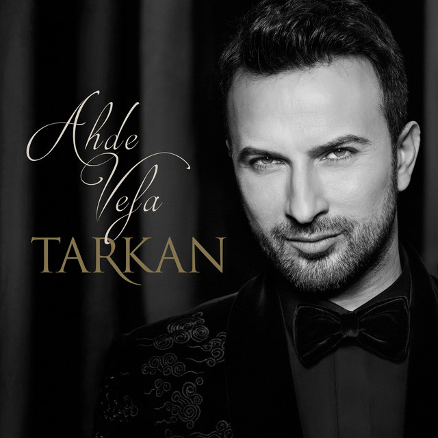 کاور آهنگ Söyleme Bilmesinler از Tarkan