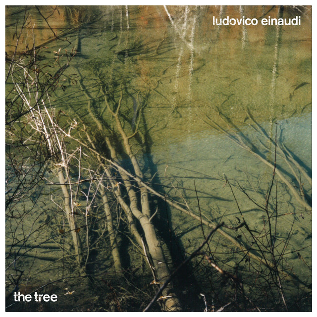 کاور آهنگ The Tree از Ludovico Einaudi