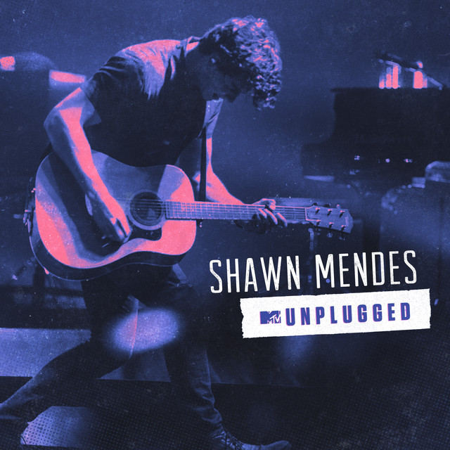کاور آهنگ Patience - MTV Unplugged از Shawn Mendes