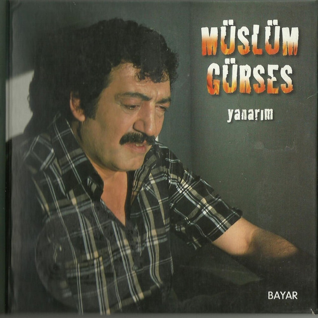 کاور آهنگ Koyunlar Kuzuyanda از Muslum Gurses