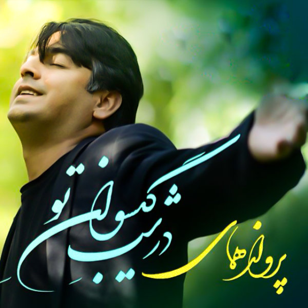 کاور آهنگ زبان نگاه از آرش عادل‌پور, پرواز همای