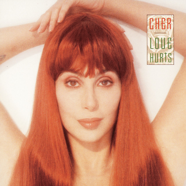 کاور آهنگ Fires Of Eden از Cher